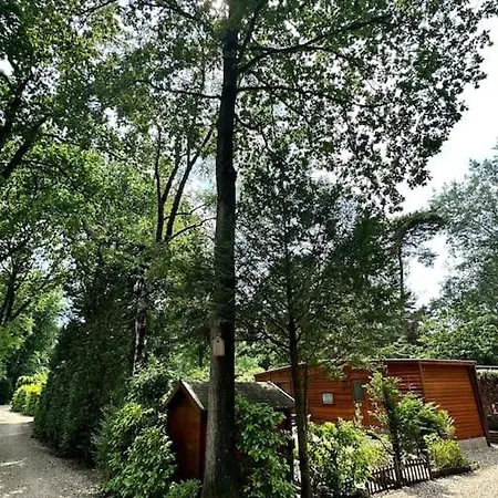 別荘 Houten Op 5 Sterren Park Met Zwembad *